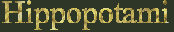 Hippopotami