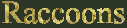 Raccoons