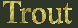 Trout
