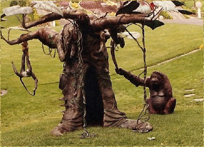 Baobab Tree