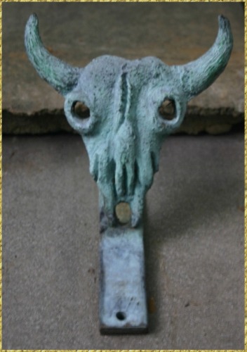 Bison Skull Snow Guard