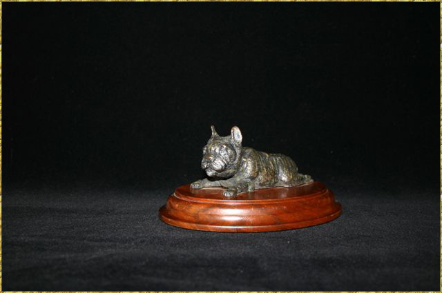 Brindle French Bulldog