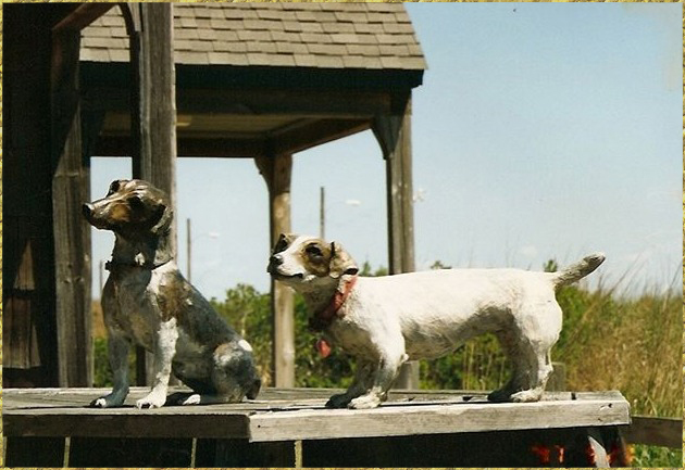 Jack Russell Terriors