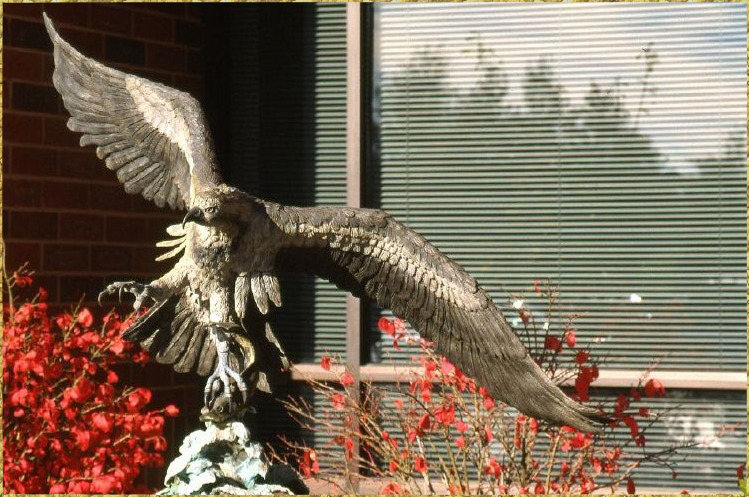 Osprey with fish