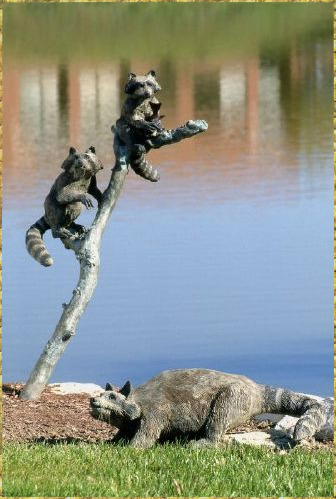 Raccoon Kits on Branch