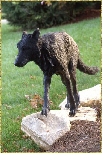Timber Wolf