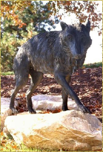 Timber Wolf