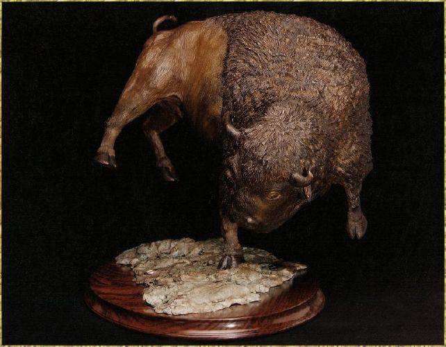 Bison
