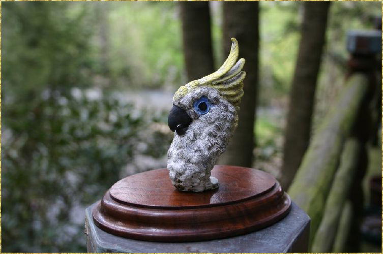 Cockatoo
