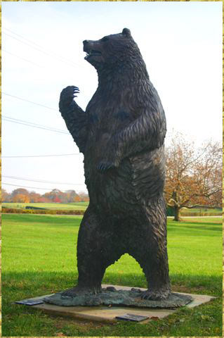 Grizzly Bear