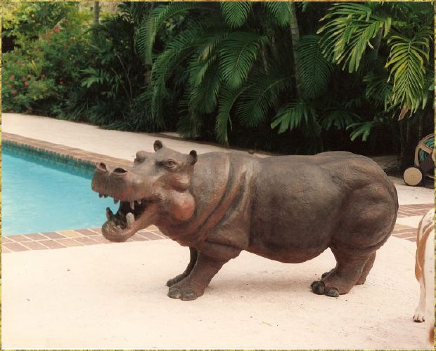 Hippo