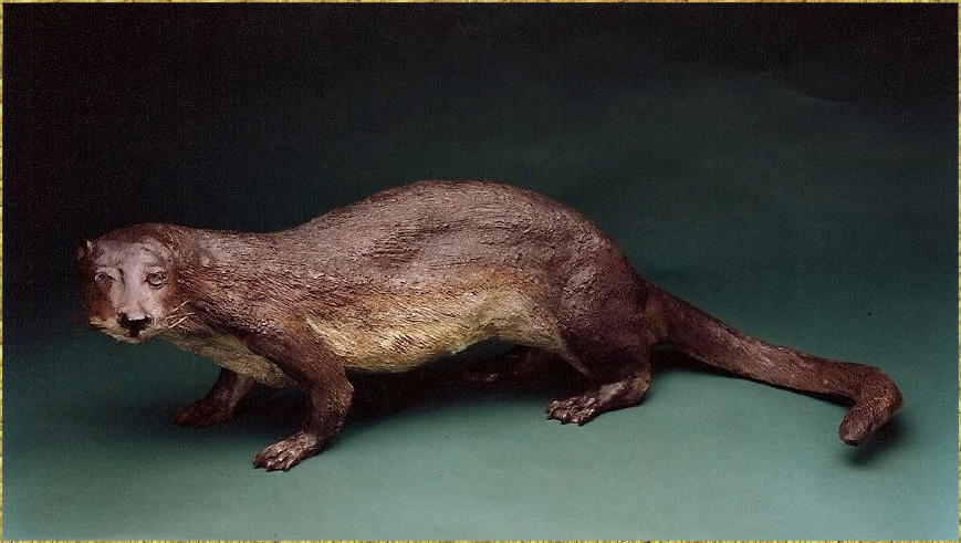 Crouching Otter