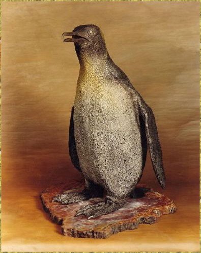 Emperor Penguin
