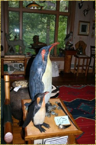 Emperor Penguins