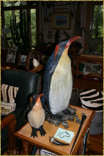 Emperor Penguins