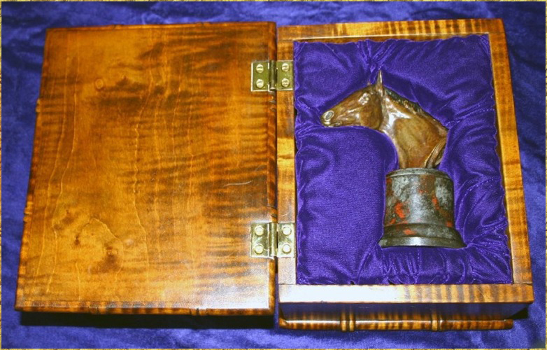 Polo Pony Presentation Box