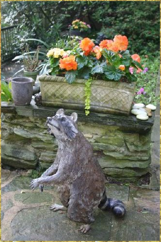 Standing Raccoon
