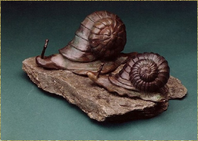Snails