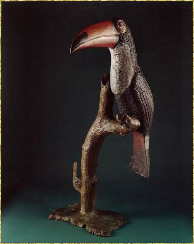 Toucan