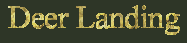 Landing Deer