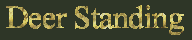 Standing Deer