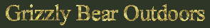 Grizzly Bear