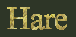 Hare