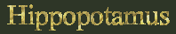 Hippo