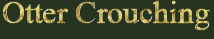 Crouching Otter