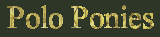 Polo Ponies