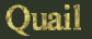 Quail