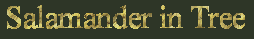 Salamander